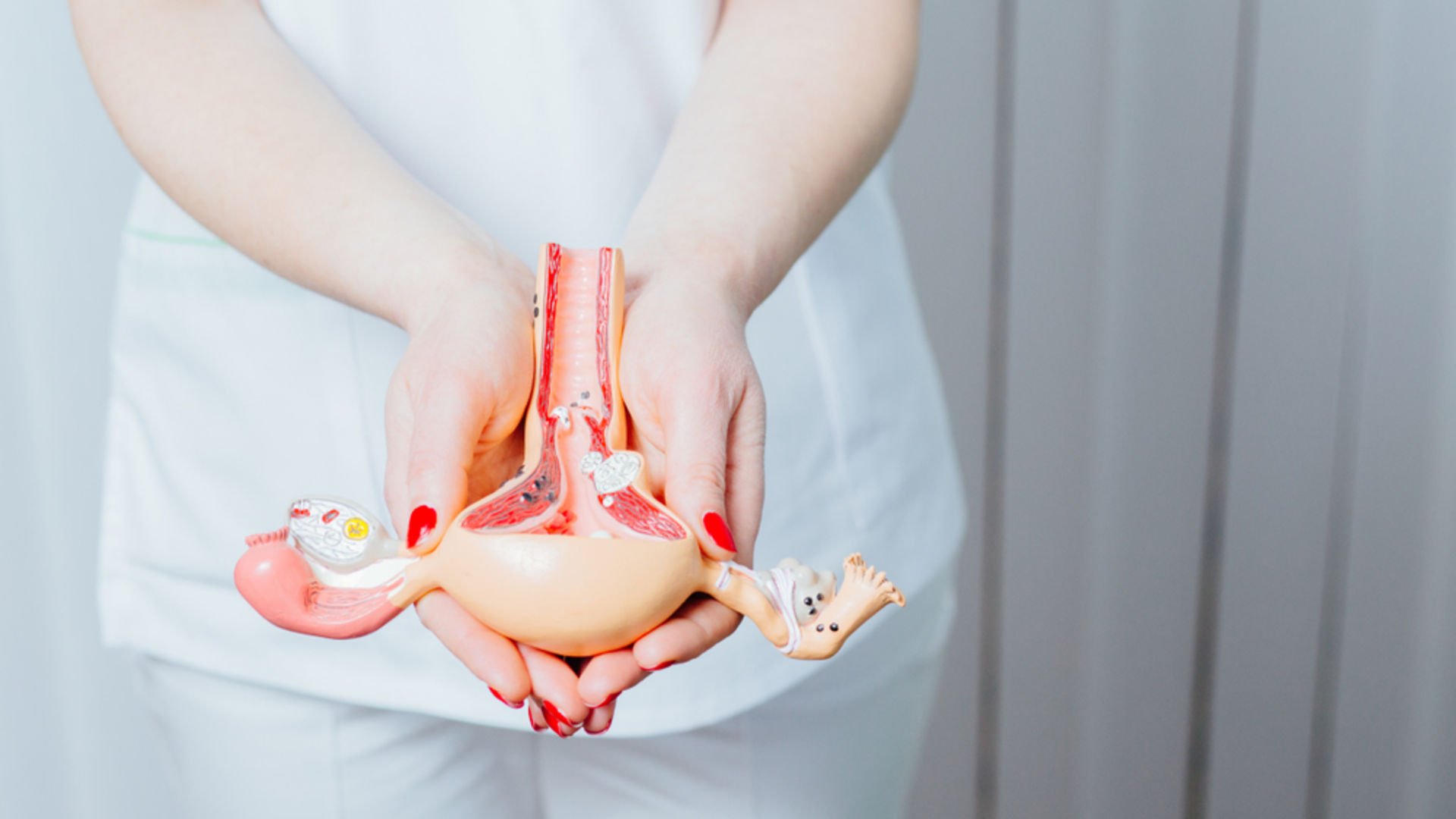 Yumurta rezervi nedir?